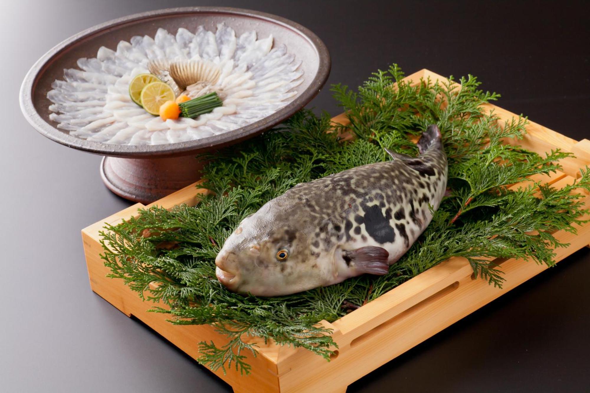 Unzen Hanzuiryo By Onko Chishin Luaran gambar
